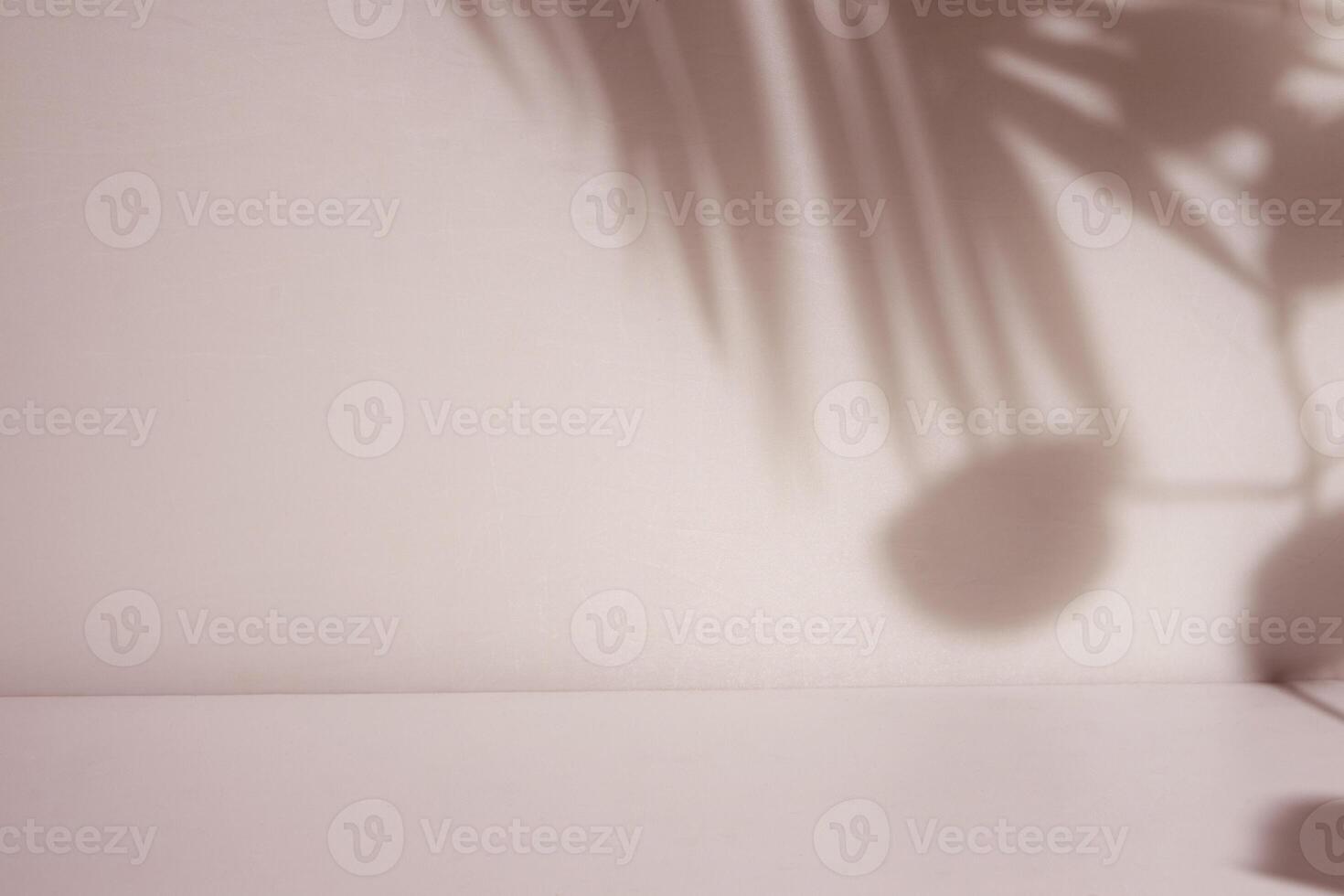 Empty room with window and plan shadow photo