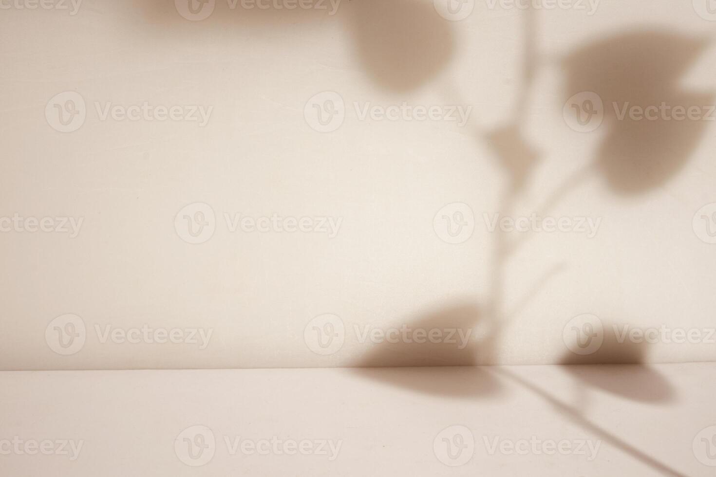 Tropical leaf shadow overlay photo