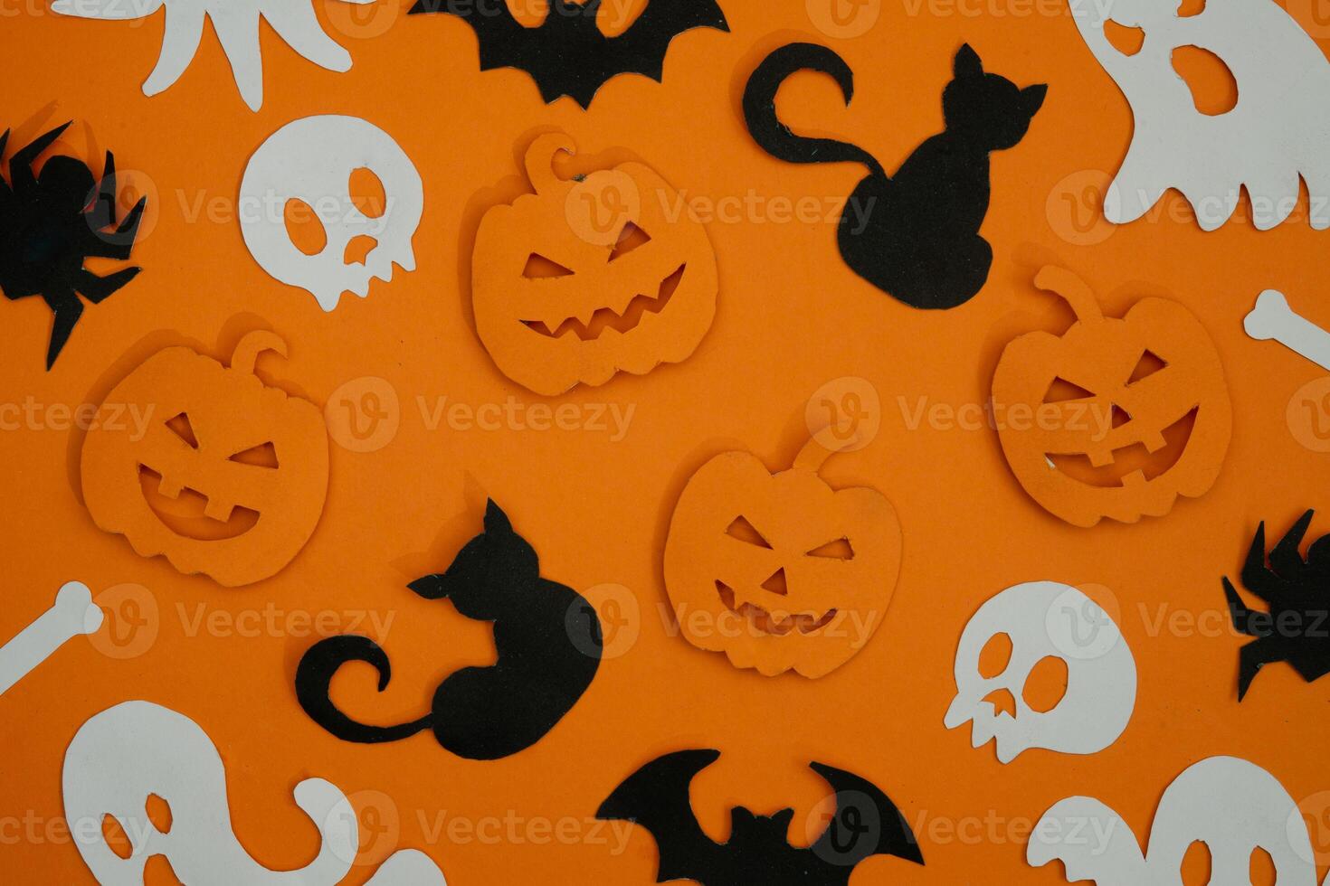 skull and cat pattern for halloween background photo