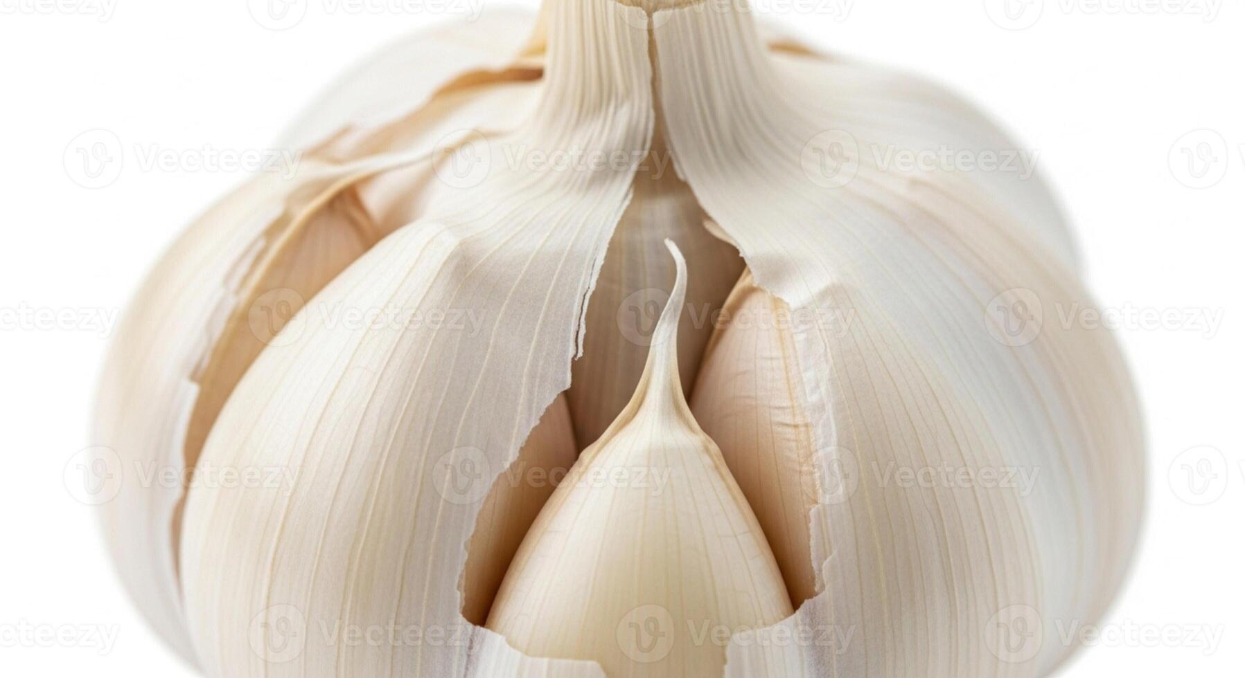 Closeup of garlic cloves isolated on white photo