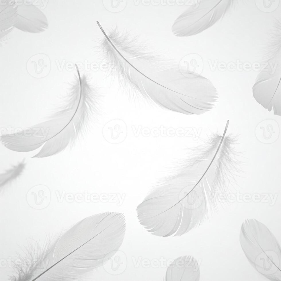 Floating white feathers isolated on white photo