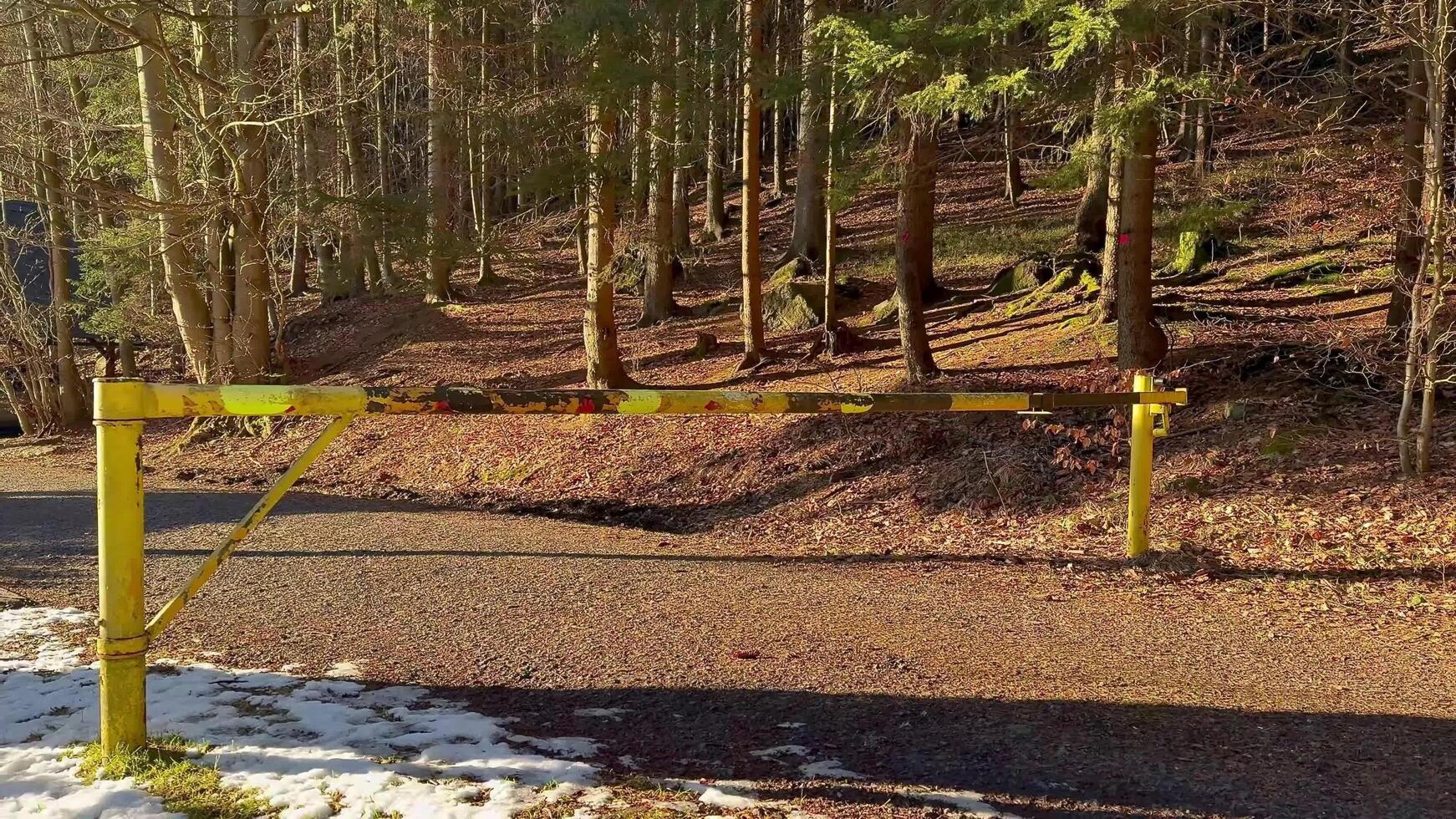 A Forest Barrier Surrounded by a Scenic Nature Setting Perfect for Exploration and Adventure photo