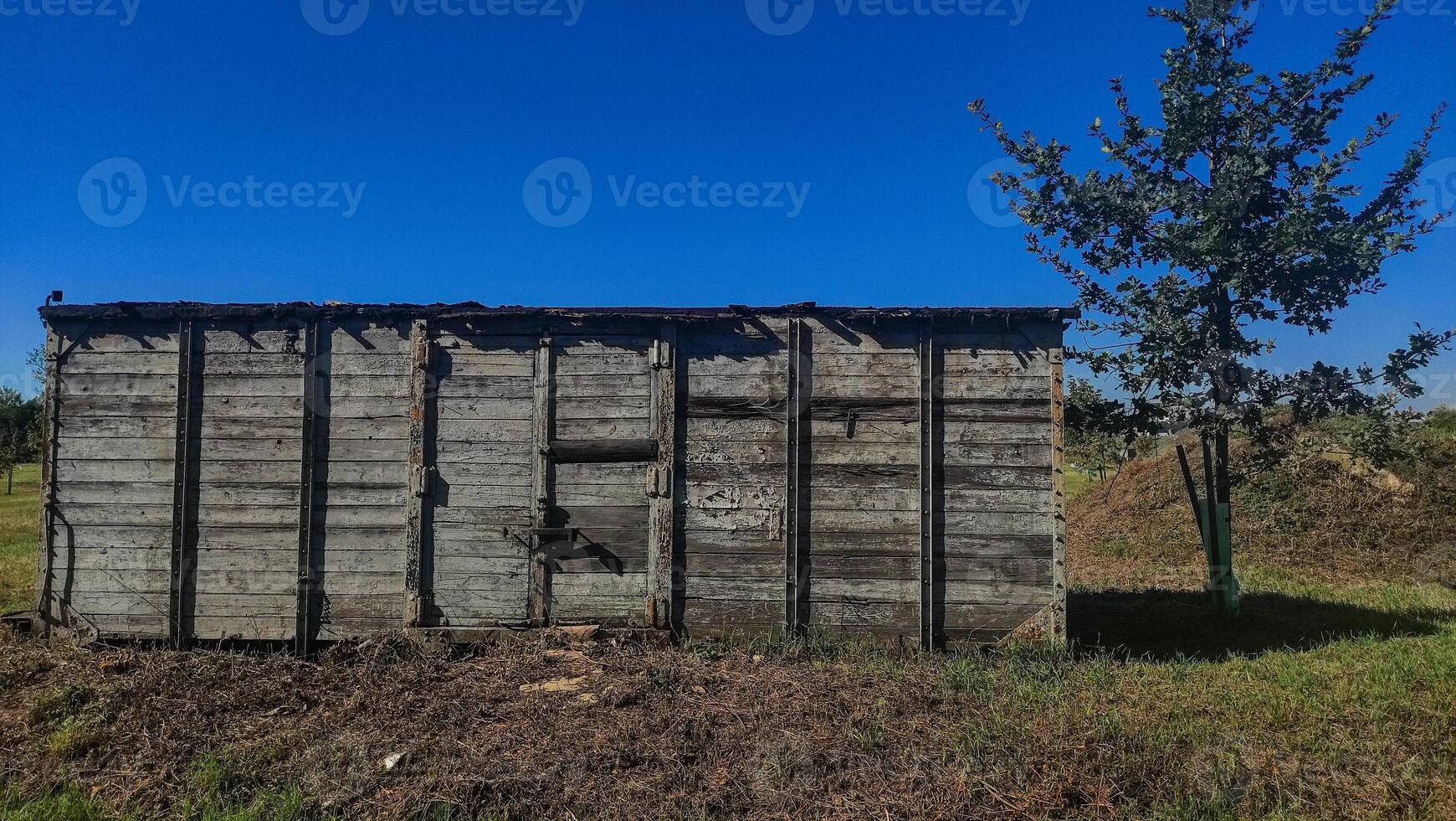 Old abandoned wooden train wagon in a field with blue sky photo