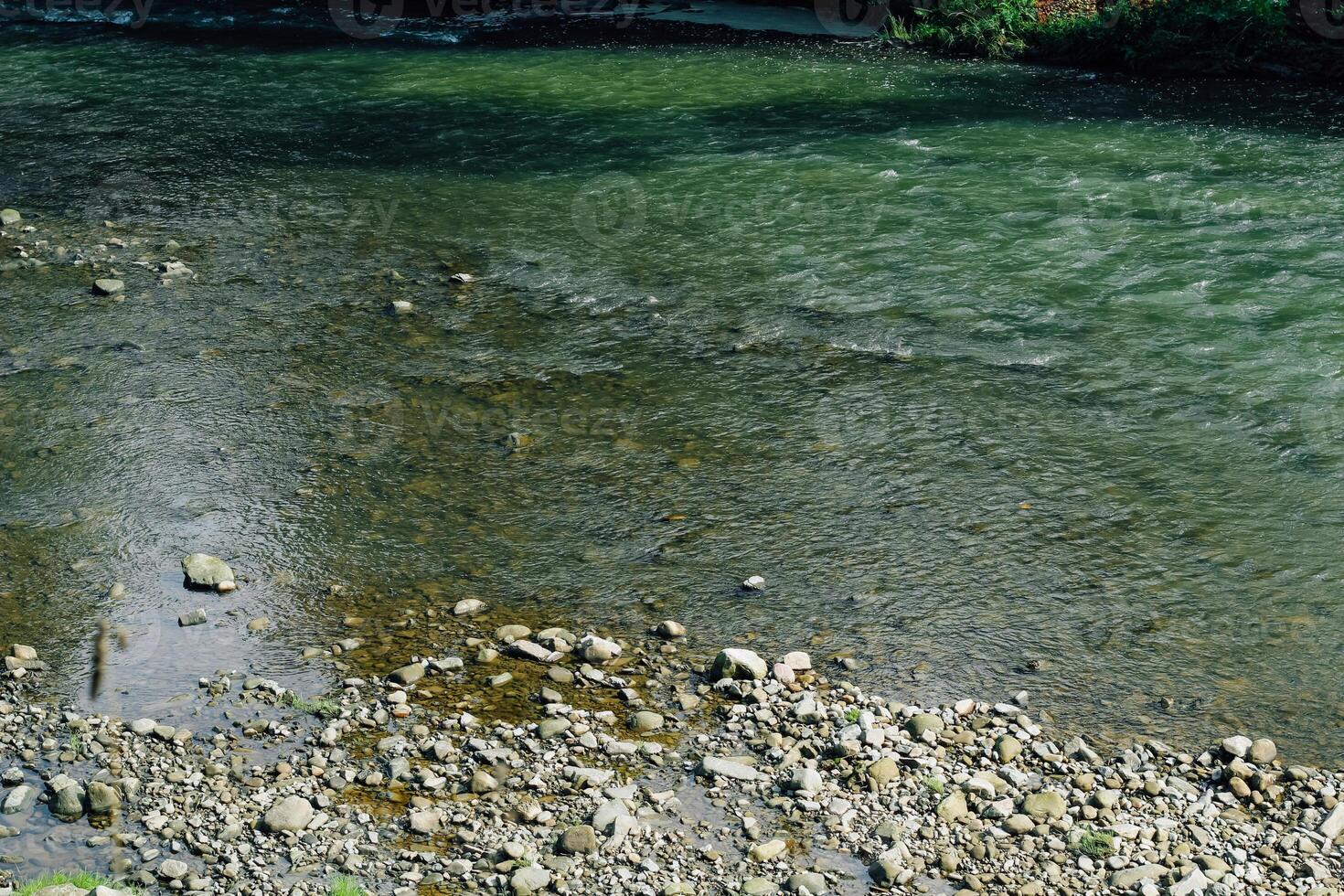 Clear water flows peacefully over stones in a serene riverbank setting during a sunny day photo
