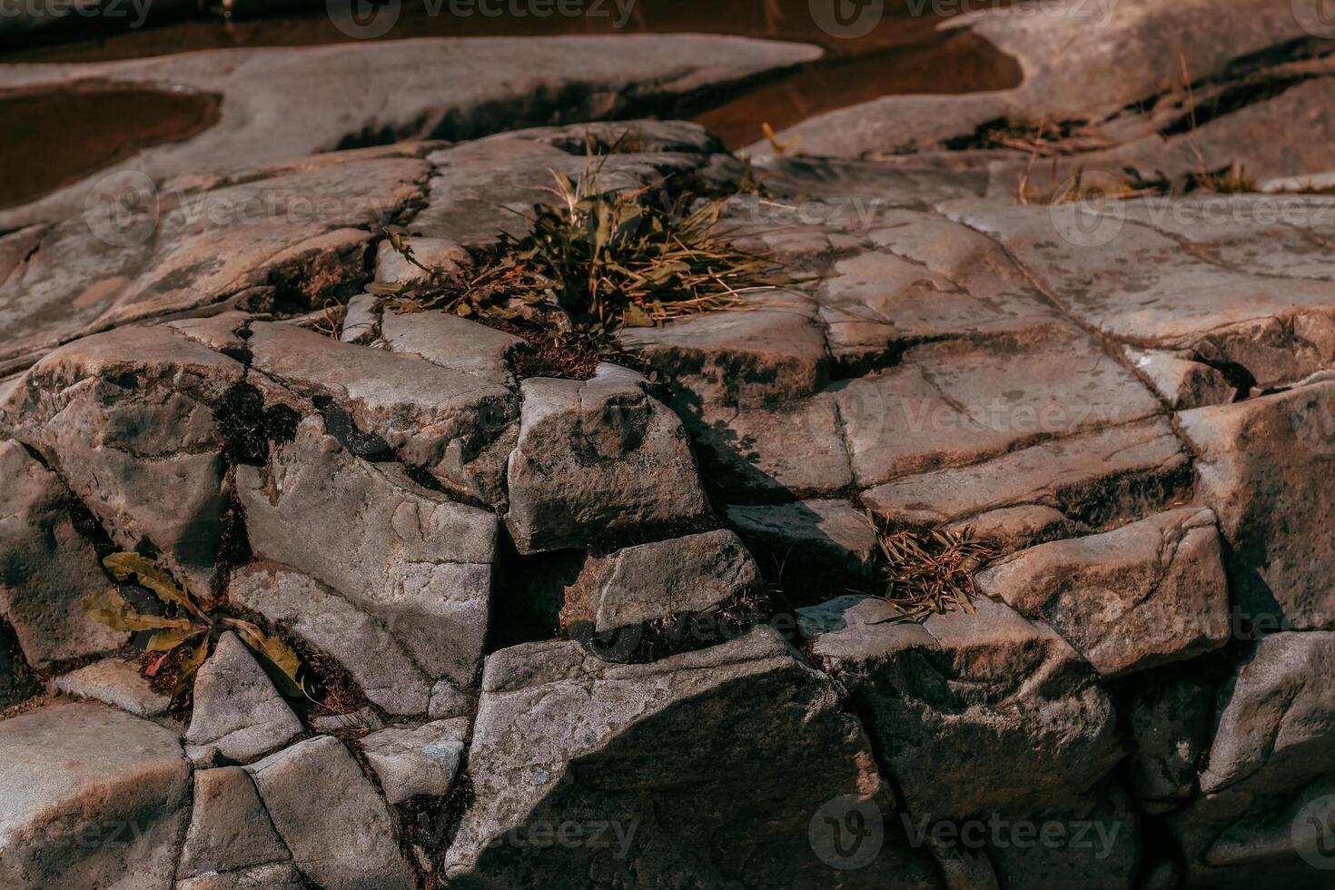 Rock formation showcasing cracks and vegetation along the riverbank during daylight photo