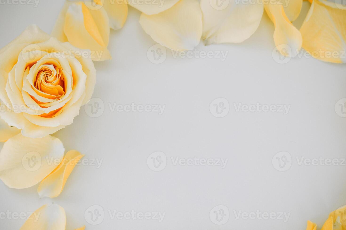 Yellow rose surrounded by delicate petals creates a soft and elegant floral arrangement photo