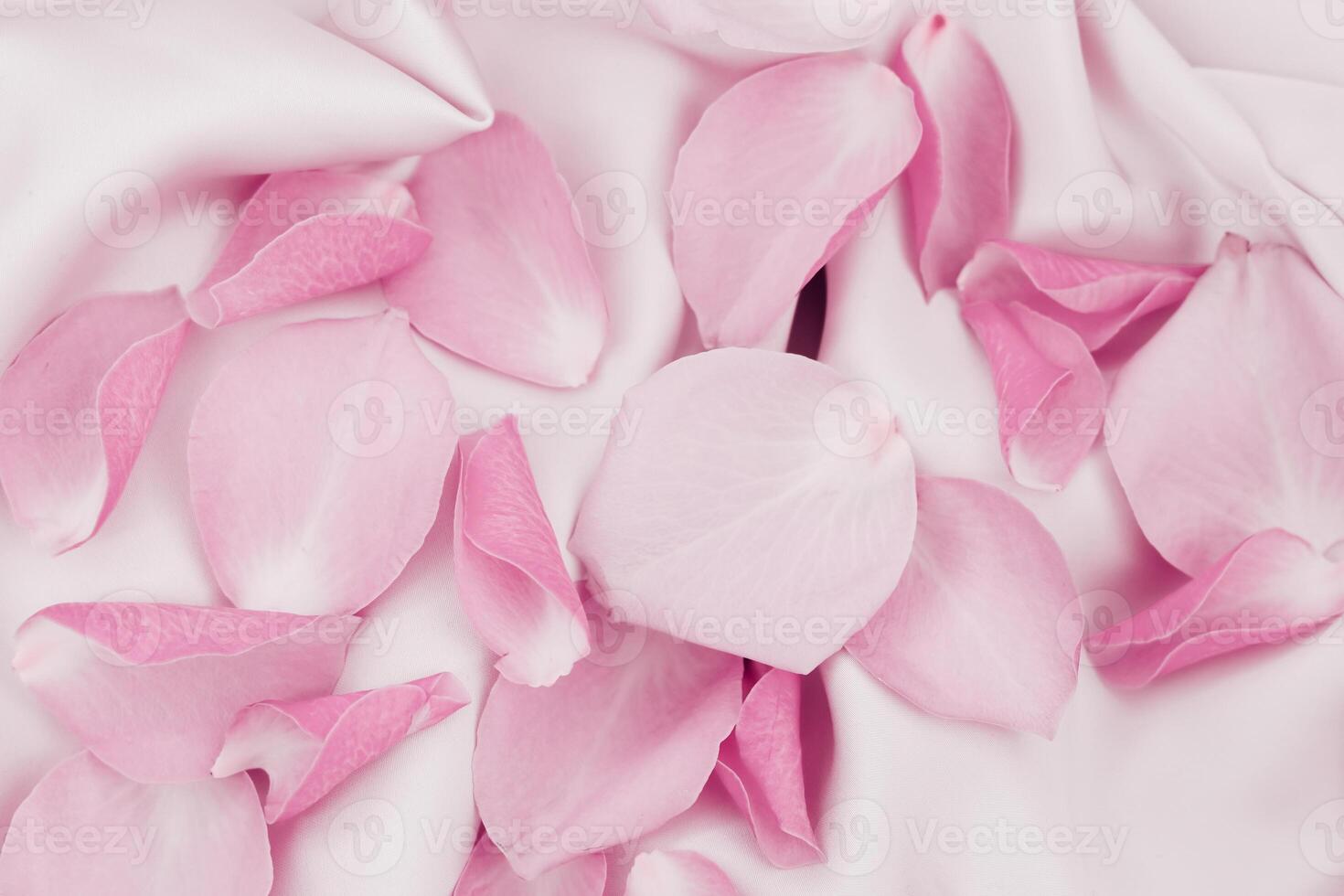 Delicate pink rose petals scattered on soft white fabric creating a serene atmosphere photo