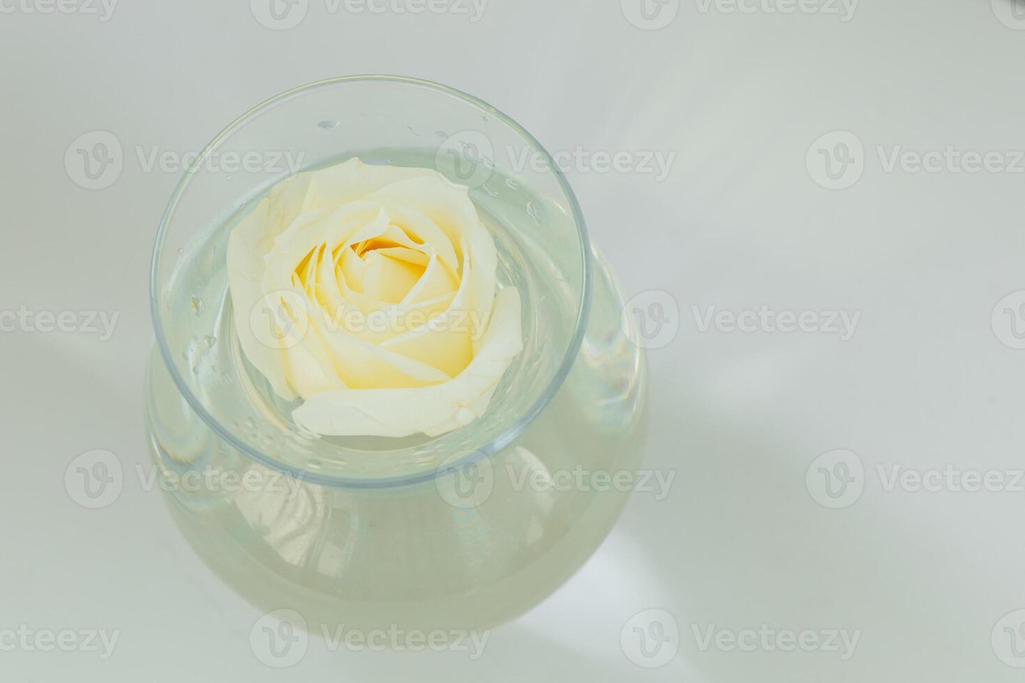 Beautiful white rose floating in clear water in a round glass vase photo