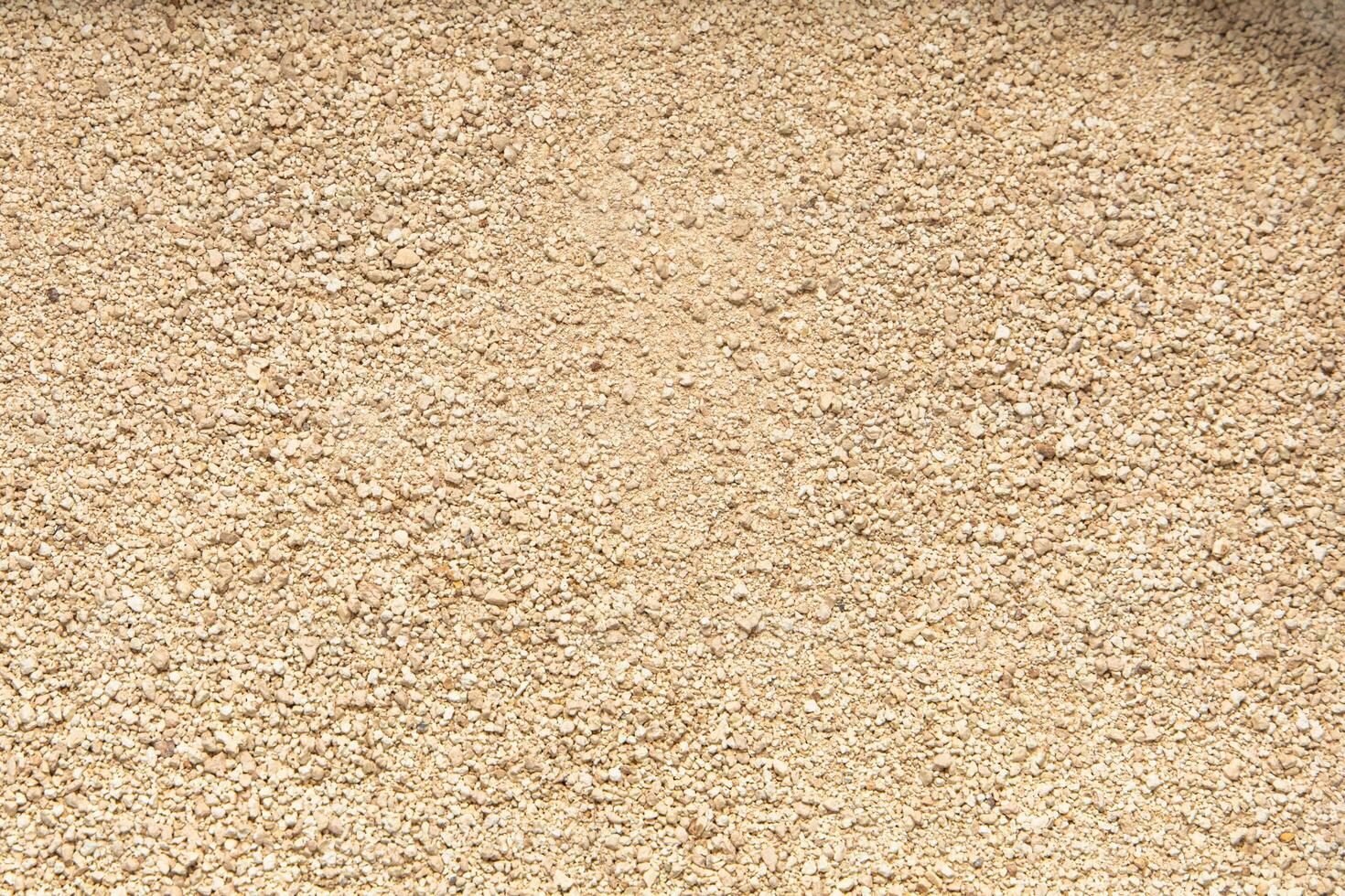 Soybean tofu bentonite filler for cat litter grains and textures photo