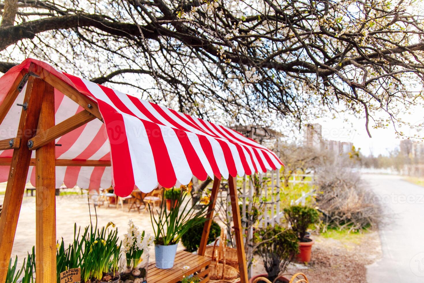 Flower stand under a striped canopy surrounded by trees in early spring season photo