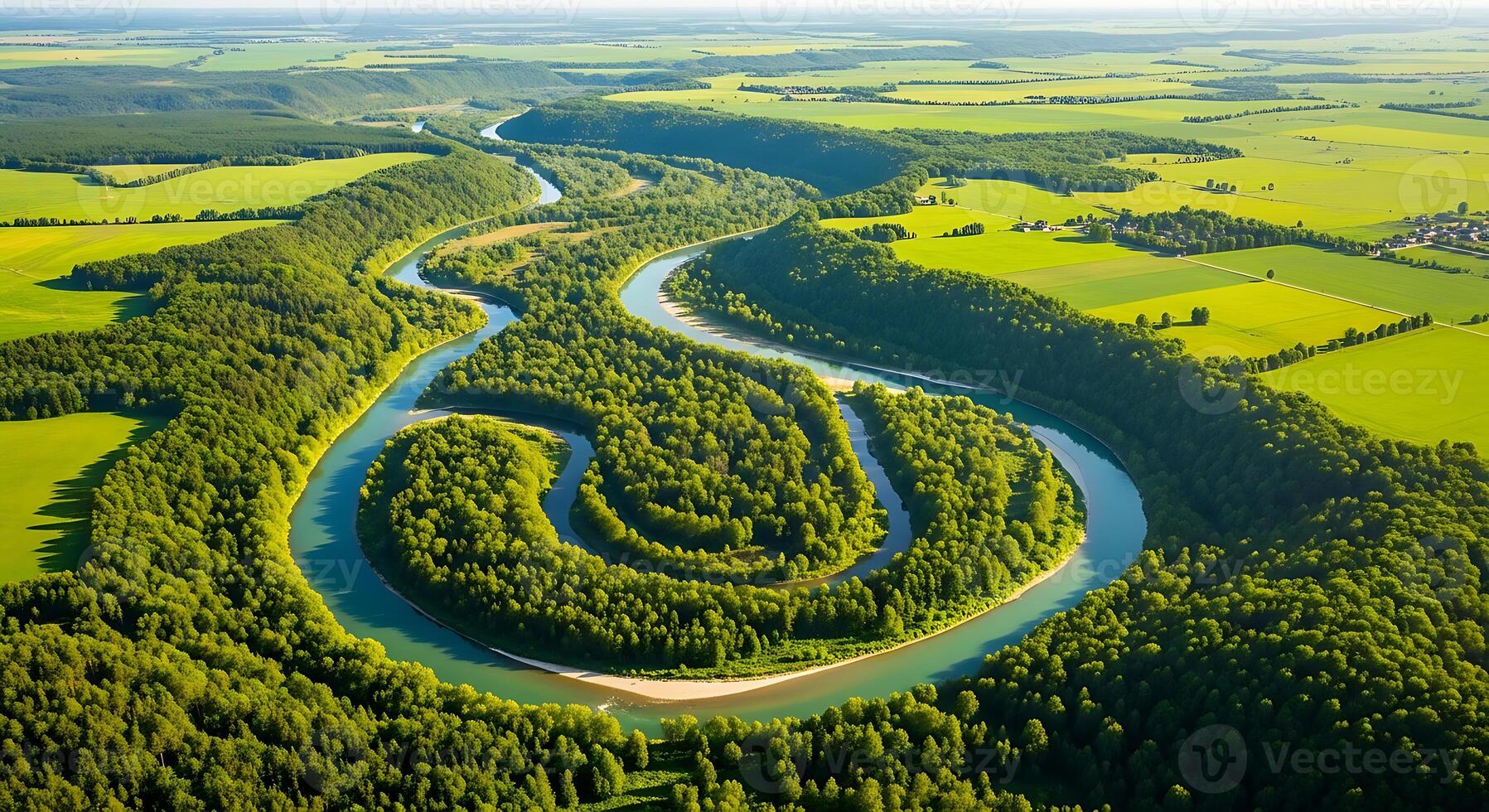 Aerial View of Meandering River photo