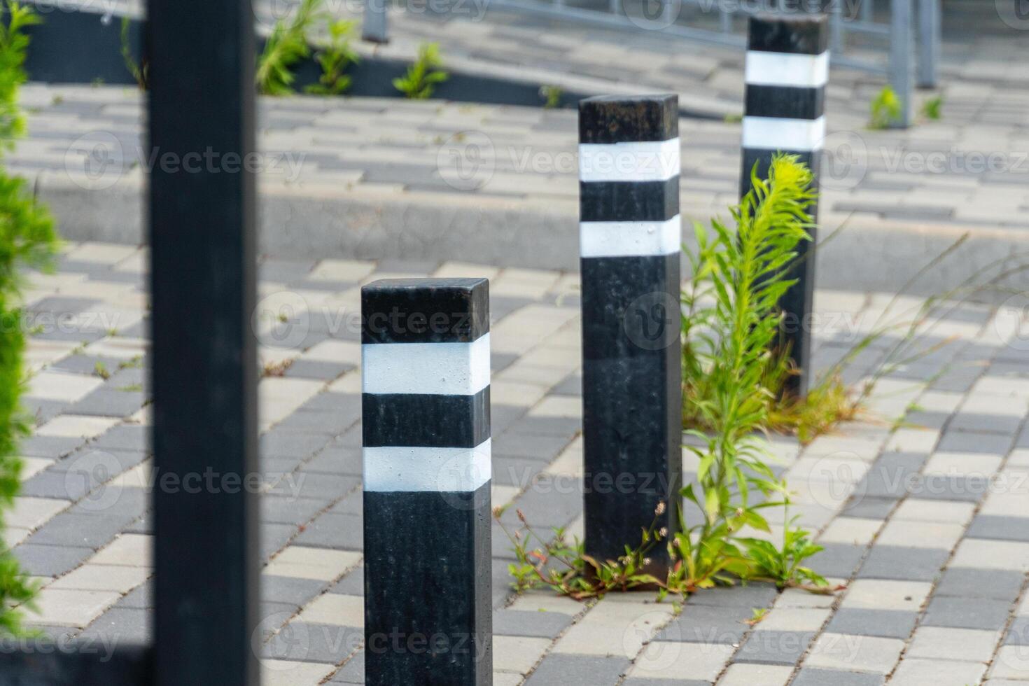 Black and white striped barriers stand along a paved path adorned with small plants, creating an urban yet natural environment during daytime photo
