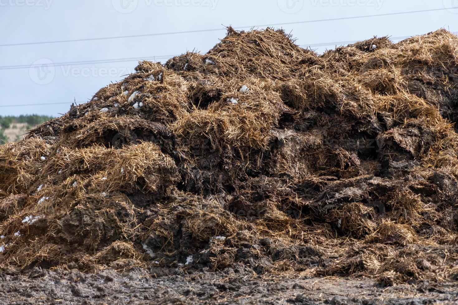 A large pile of decomposing organic material is situated in a rural area, highlighting the natural process of waste recycling in agriculture under a cloudy sky photo
