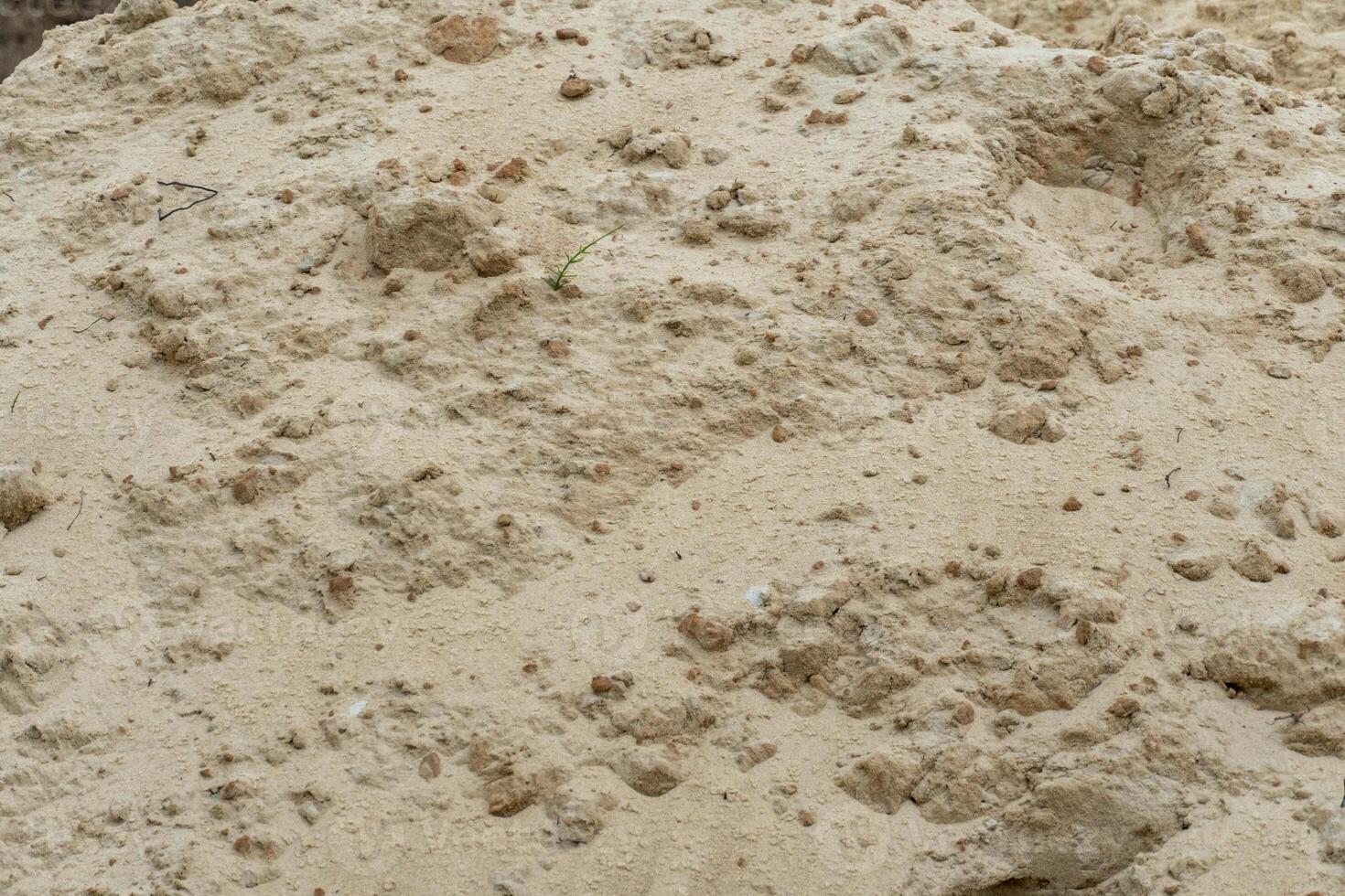 A large pile of natural sand displaying diverse textures photo