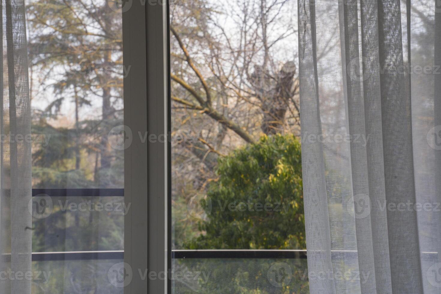 View through sheer curtains of a tranquil outdoor scene featuring lush greenery and trees, creating a serene atmosphere and inviting natural light into the indoor space photo