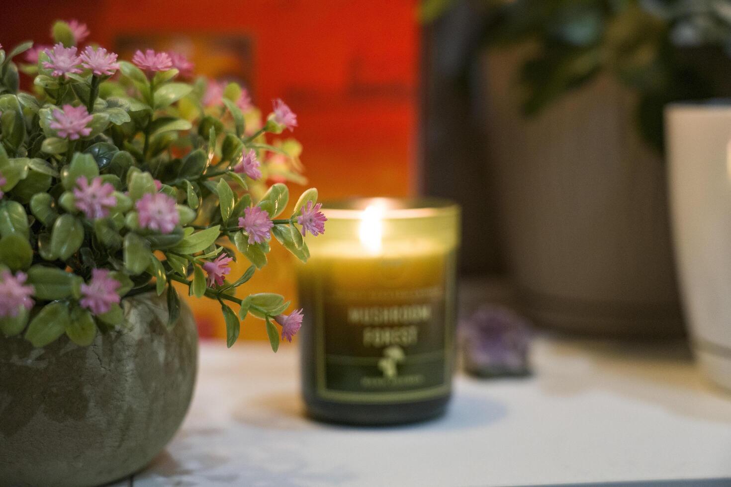 Odesa, Ukraine - July 30, 2024 Green scented candle with warm glow beside decorative plant in cozy interior setting, creating a tranquil atmosphere for relaxation and mindfulness photo