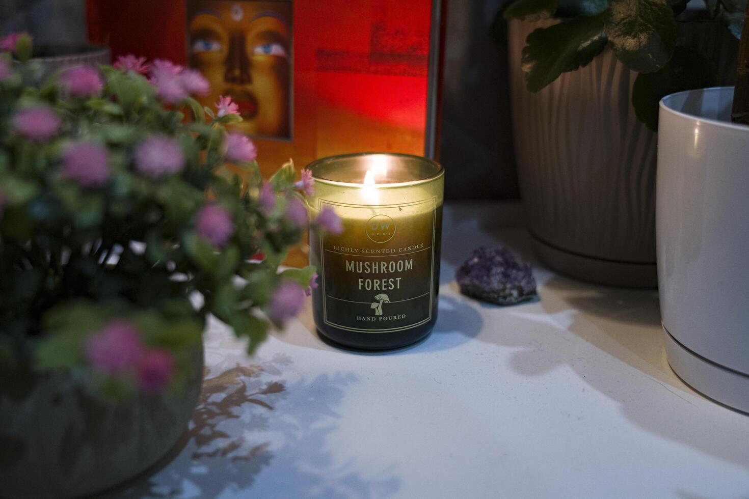 Odesa, Ukraine - July 30, 2024 Candle lit in serene setting with plants and decorative elements, creating a calming atmosphere, perfect for relaxation and mindfulness photo