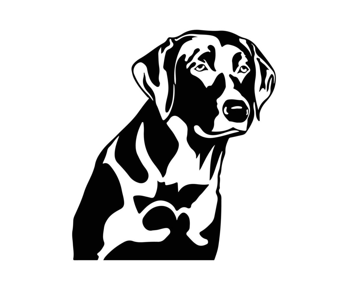 Lab dog Head illustration, Labrador retriever dog Head illustration, hunting dog graphic design vector