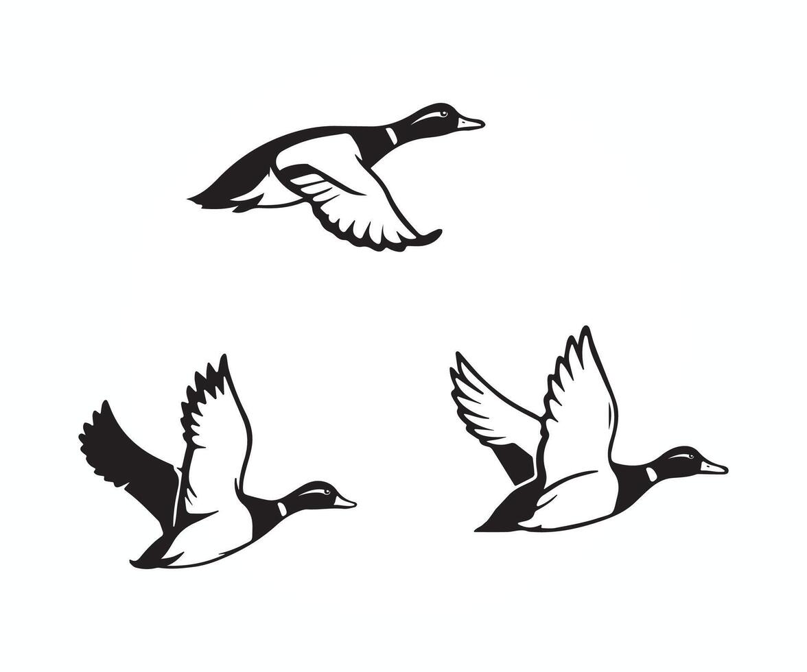 three black and white ducks flying in the air, flying duck illustration vector