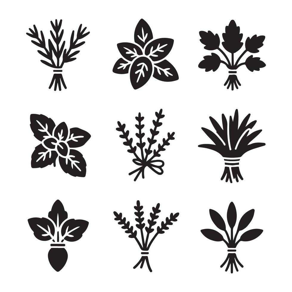 Clean Outline Herb Collection Icons Set vector