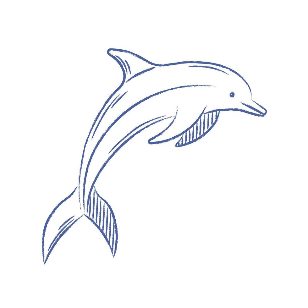 Dolphin . Doodle dolphin with pencil texture, chalk. isolated element vector