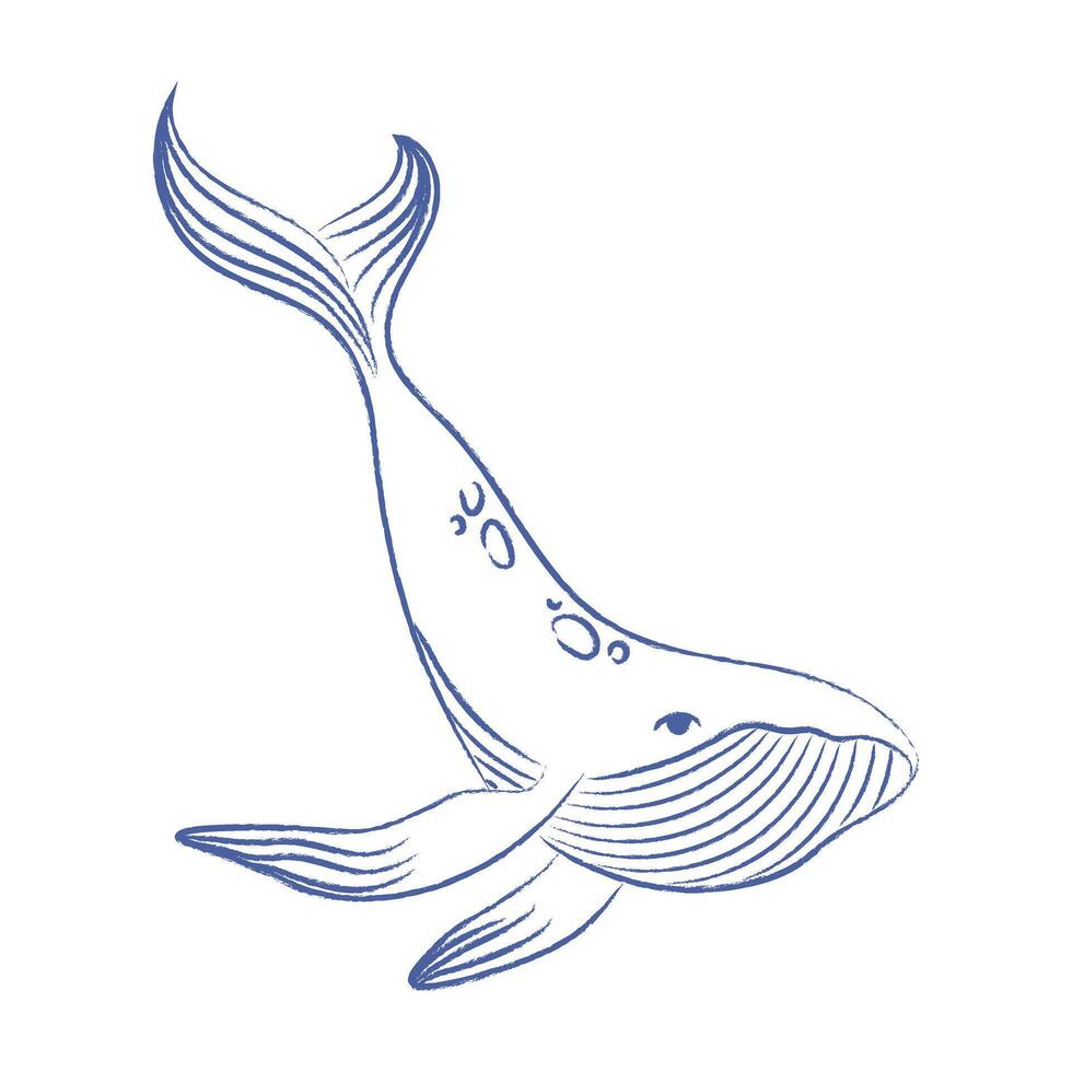 Whale . Doodle blue whale with pencil, chalk texture. isolated element vector