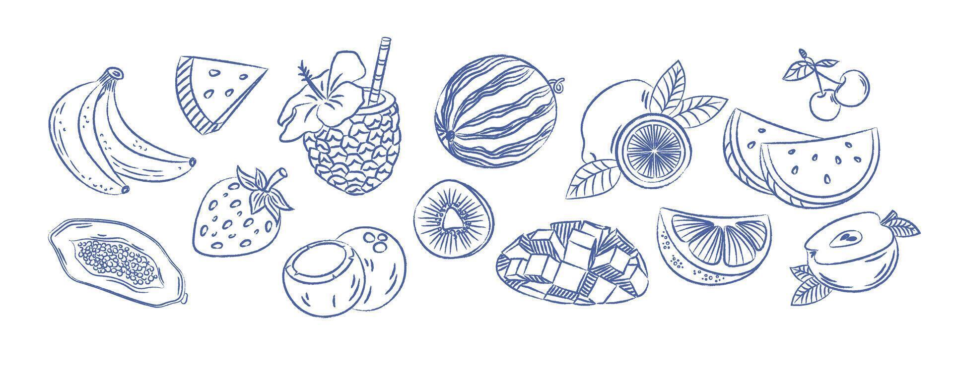 Set of summer tropical fruits on white background. Trendy Doodles. pen drawn vintage element vector