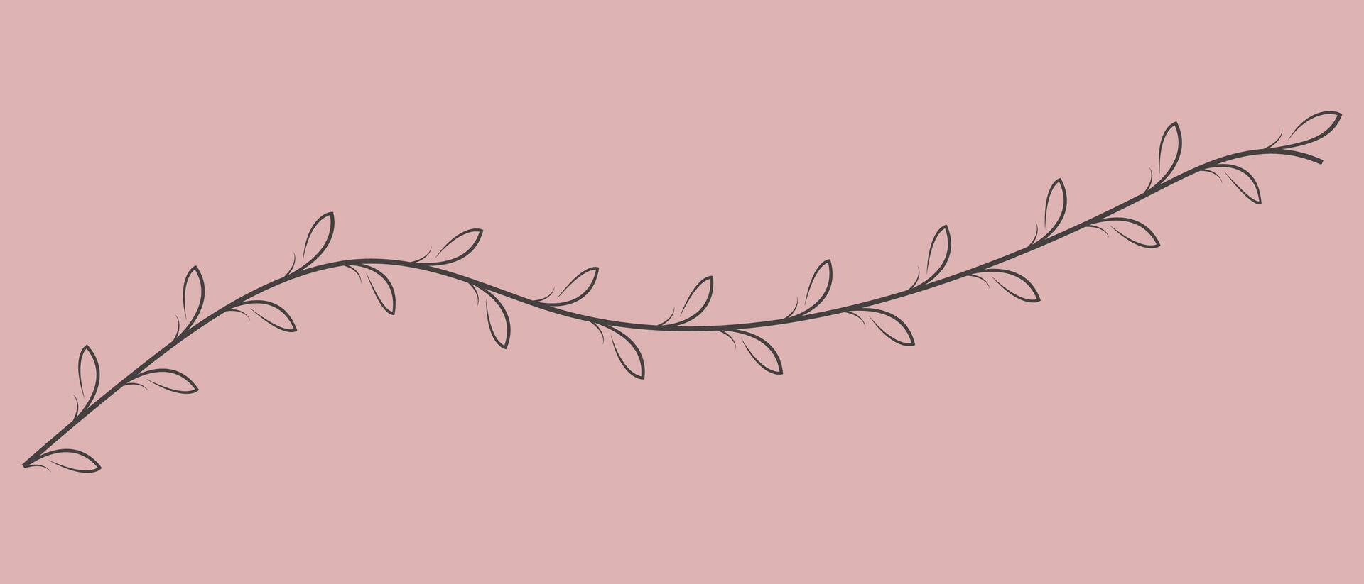 Hand drawn twig with leaves isolated on pink background. illustration. vector