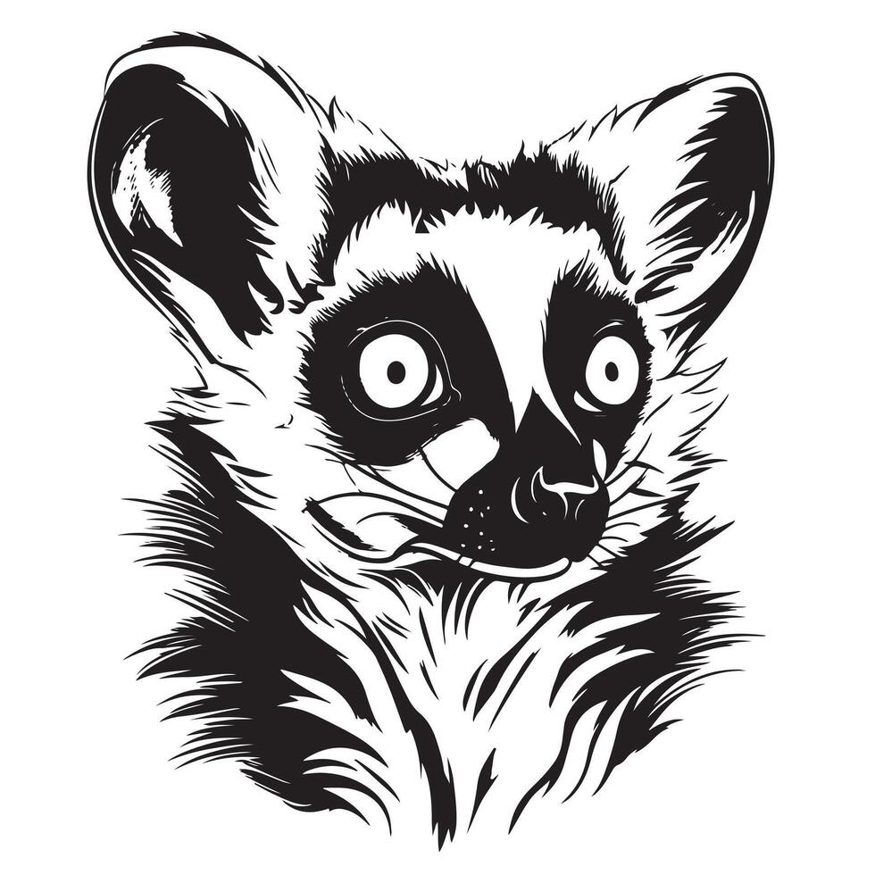 Lemur sketches, outline vector