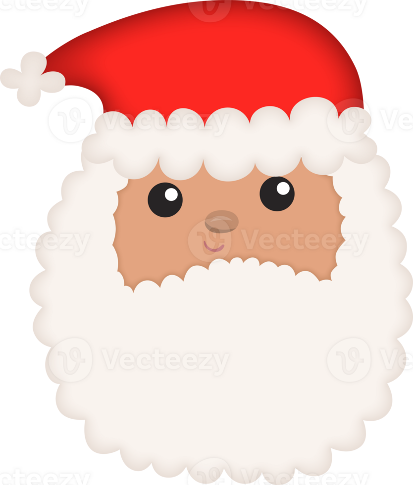 Santa Claus Portrait for the Christmas Holiday Season png