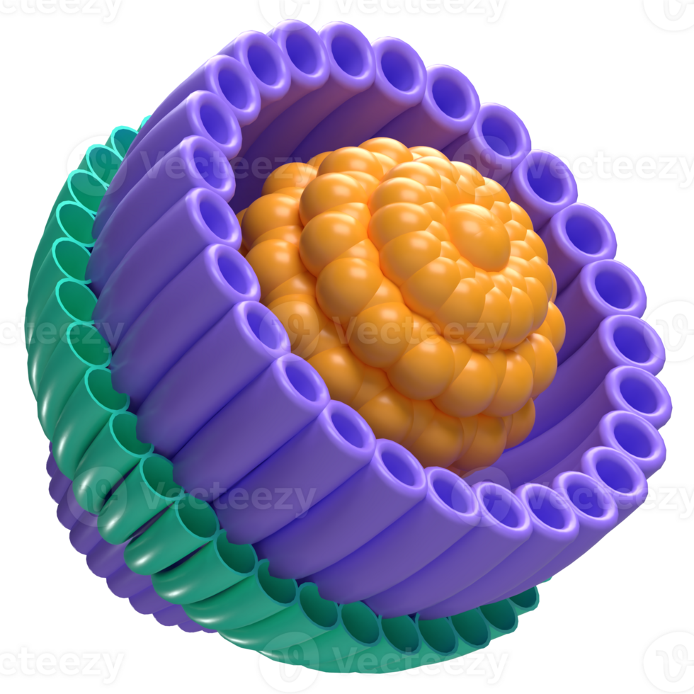 Hollow Cone Bloom 3D Render png