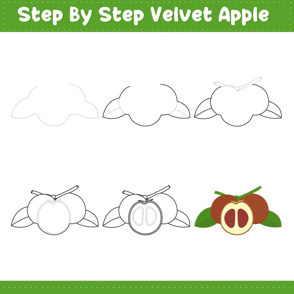 Step By Step Drawing Lime For Kids. Velvet Apple Food Drawing Tutorial On How To Draw. illustration vector