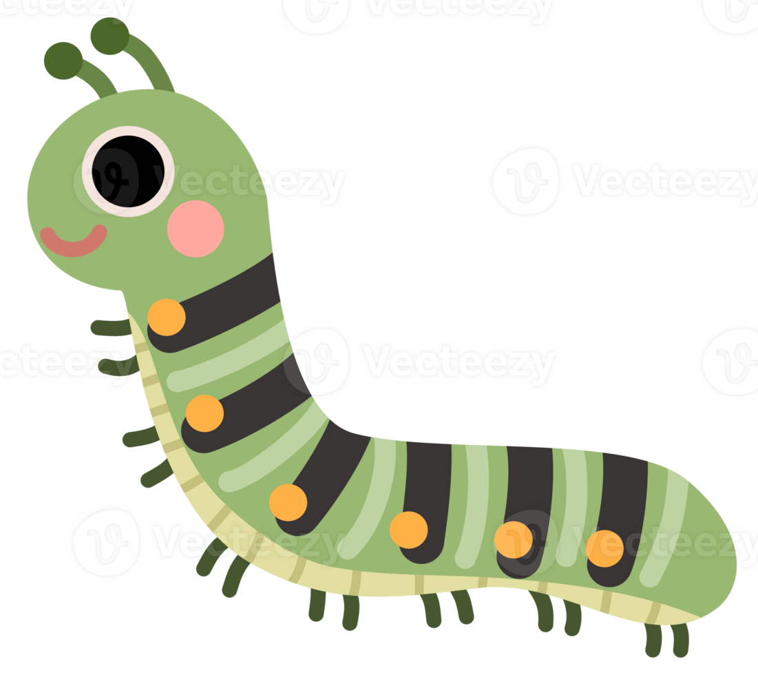 Flat illustration of cute green caterpillar insect png