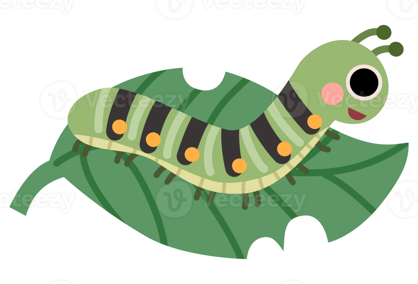 Flat illustration of cute insect caterpillar on leaf png