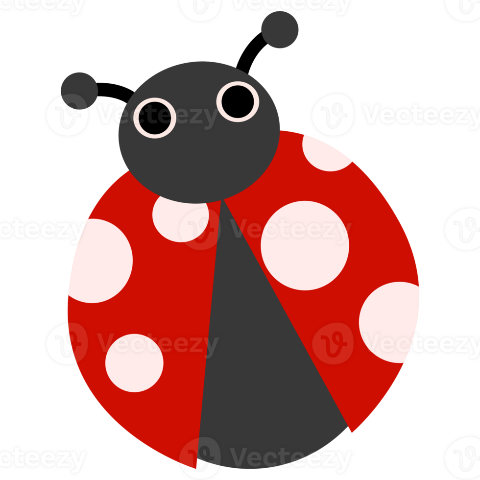 Cartoon Illustration of a Red Ladybug png