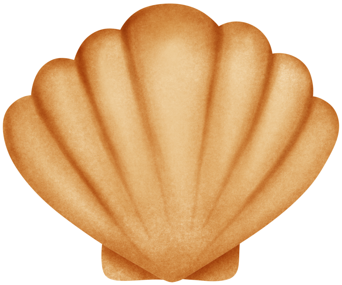 Isolated yellow brown scallop seashell in crayon art style on transparent background png