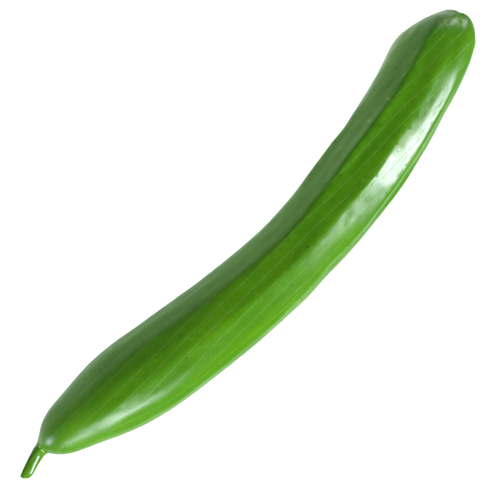Green cucumber isolated on transparent png