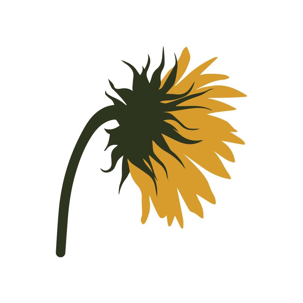 Back View of Sunflower Illustration, Minimal Floral Art vector