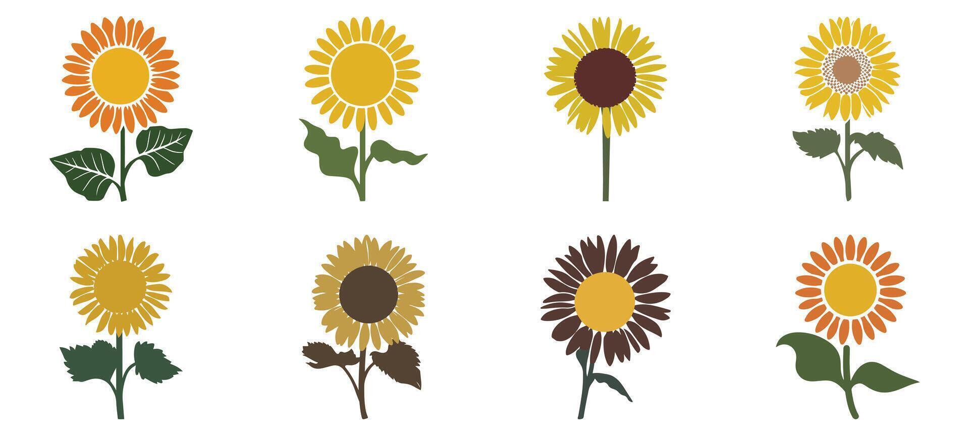 Beautiful bright yellow sunflowers blossom in a summer field, showcasing nature's vibrant floral design vector