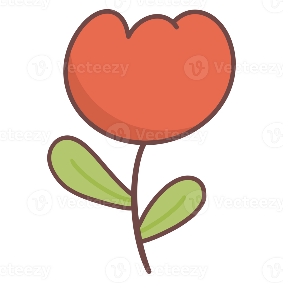 Red tulip flower with green leaves on transparent background png