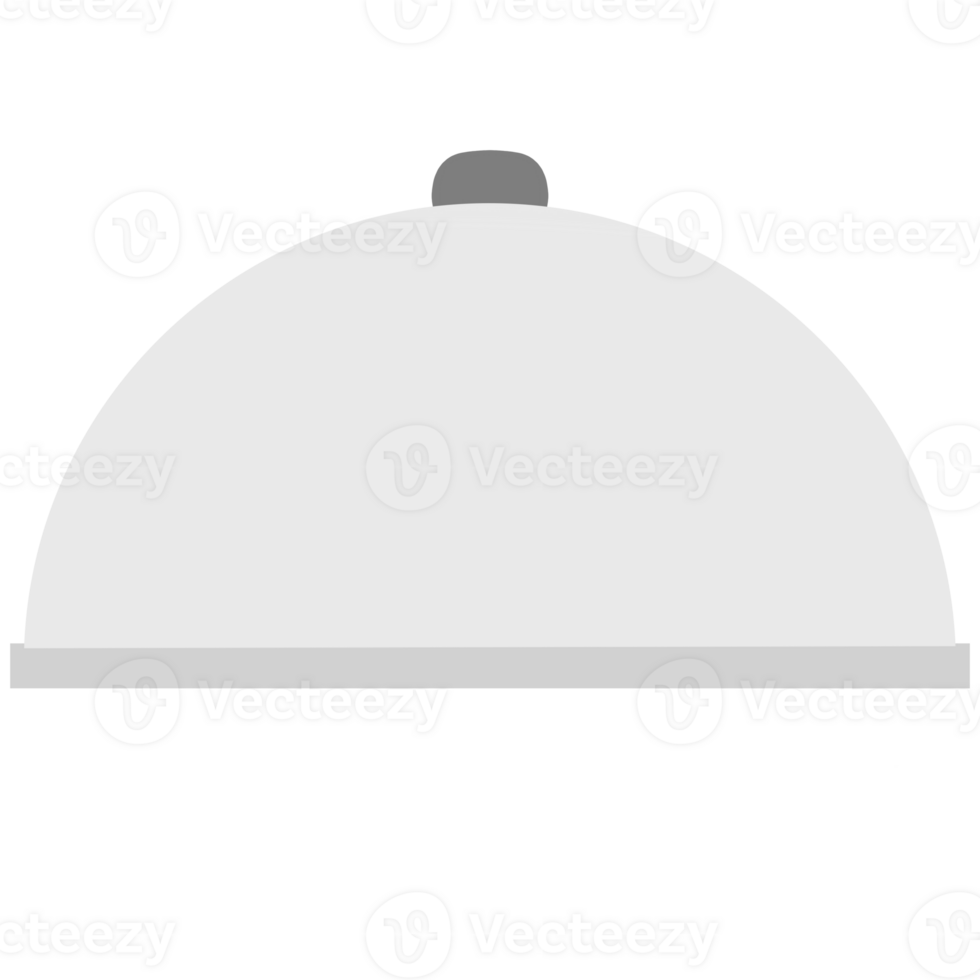 Food tray generic flat icon isolated on transparent background. png