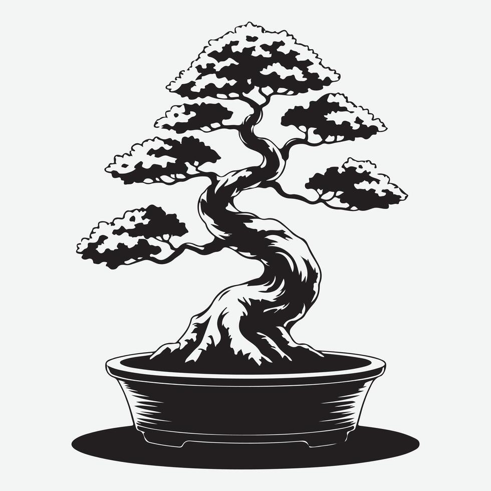 bonsai tree in black and white on a white background vector