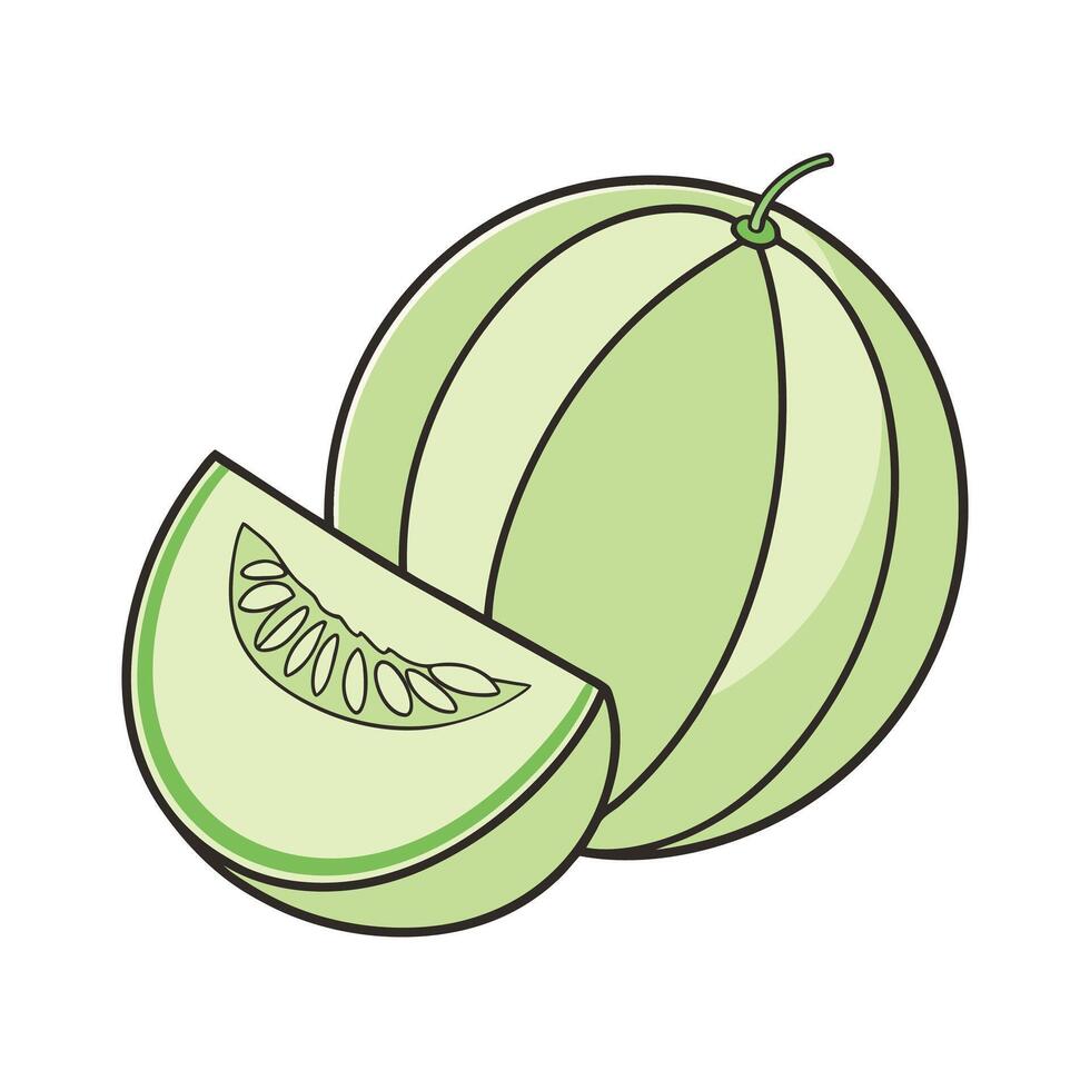 Fresh honeydew melon slice tropical fruit illustration vector