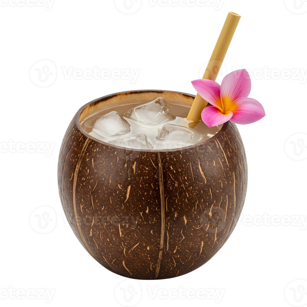 Iced Coconut Drink in Shell with Ice Cubes isolated png