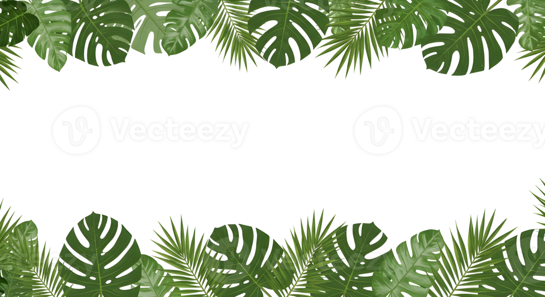 Tropical Leaf Border Frame with Monstera and Palm png