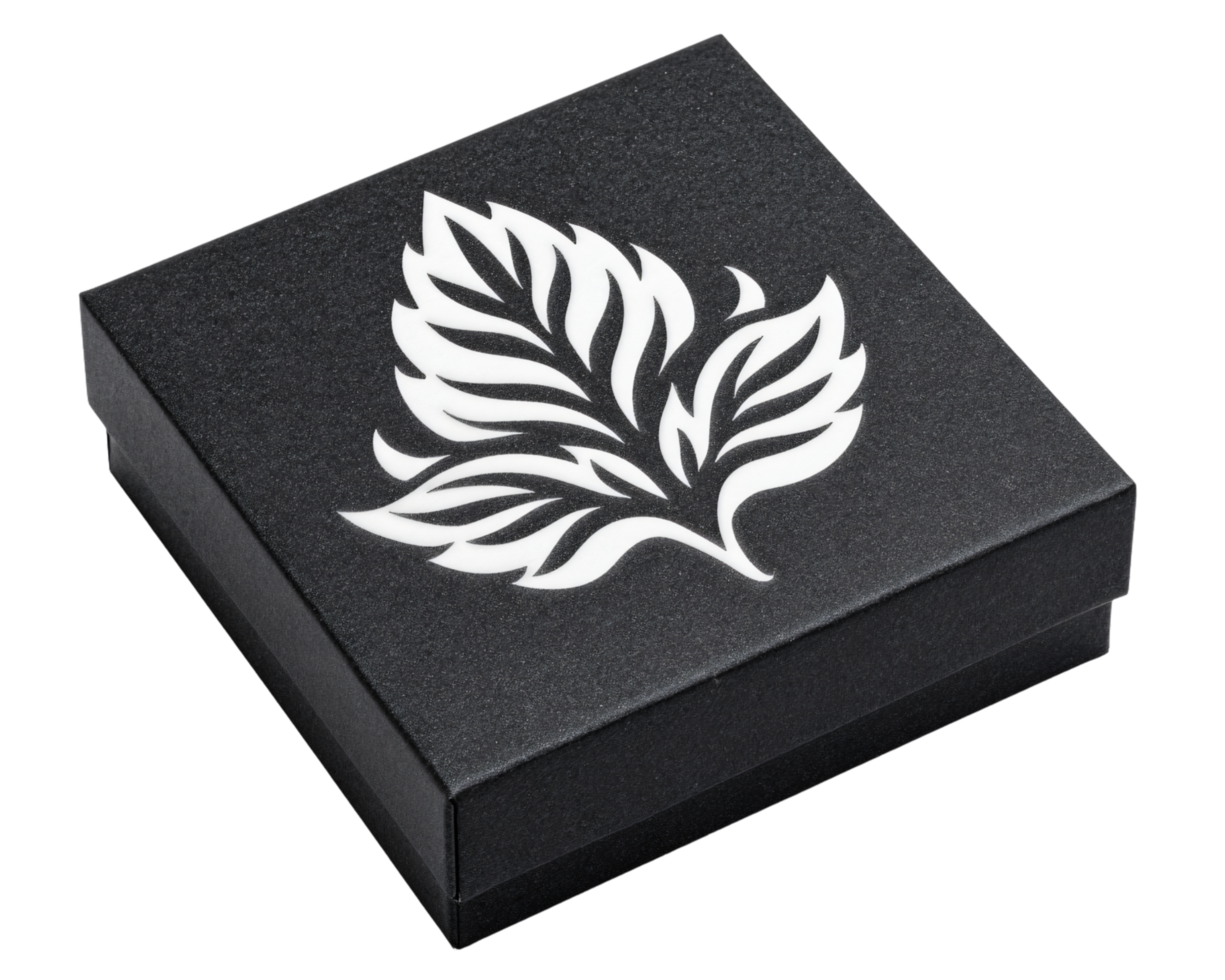 Elegant Black Box with Leaf Design for Gift Packaging and Storage png