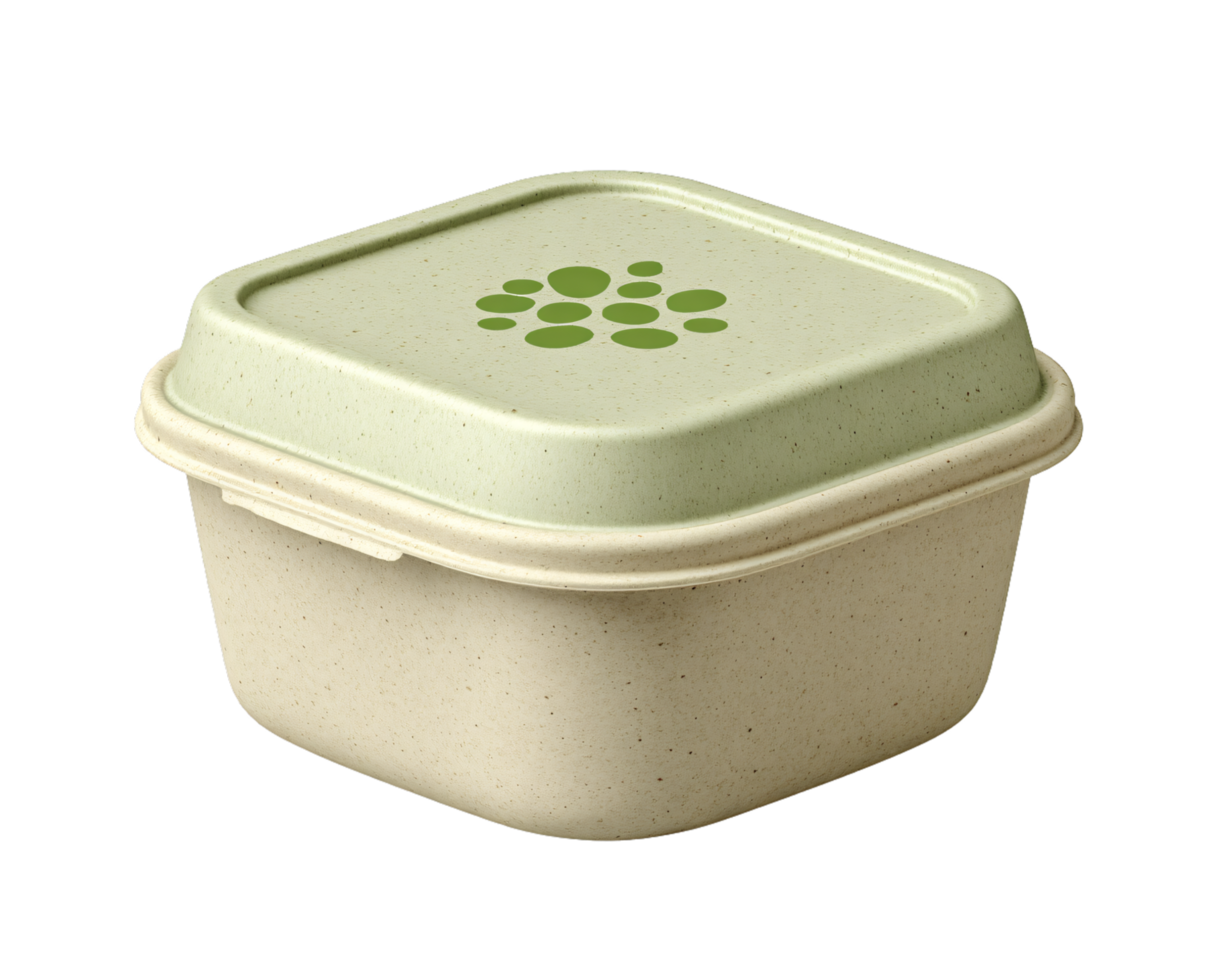 Eco-Friendly Square Container with Green Lid and Simple Design png