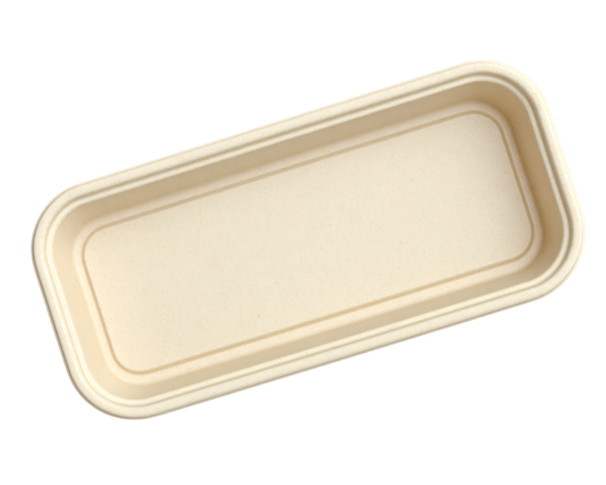 Eco-Friendly Rectangular Container for Food or Storage Use png