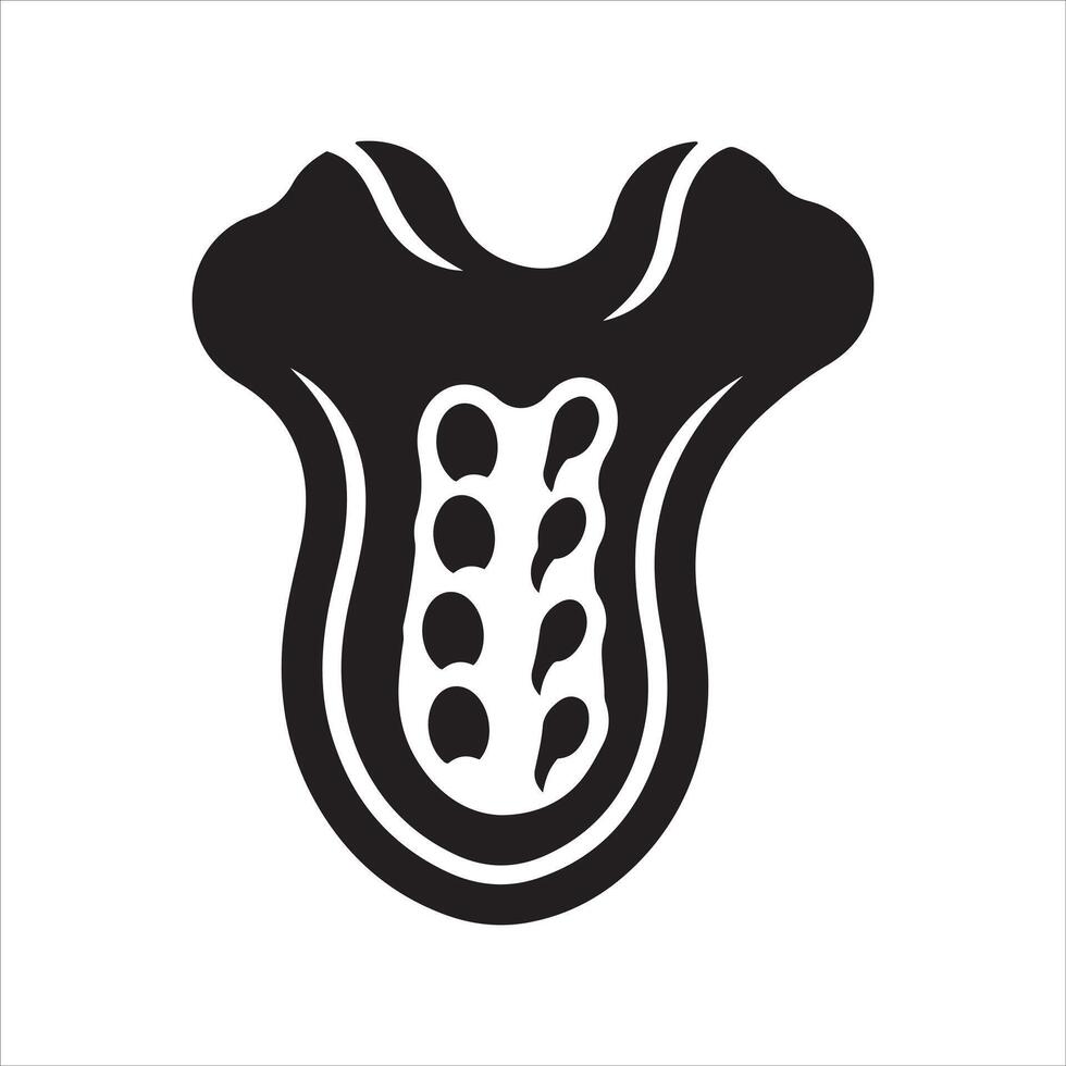 Stylized representation of the human spine and vertebrae in black and white vector