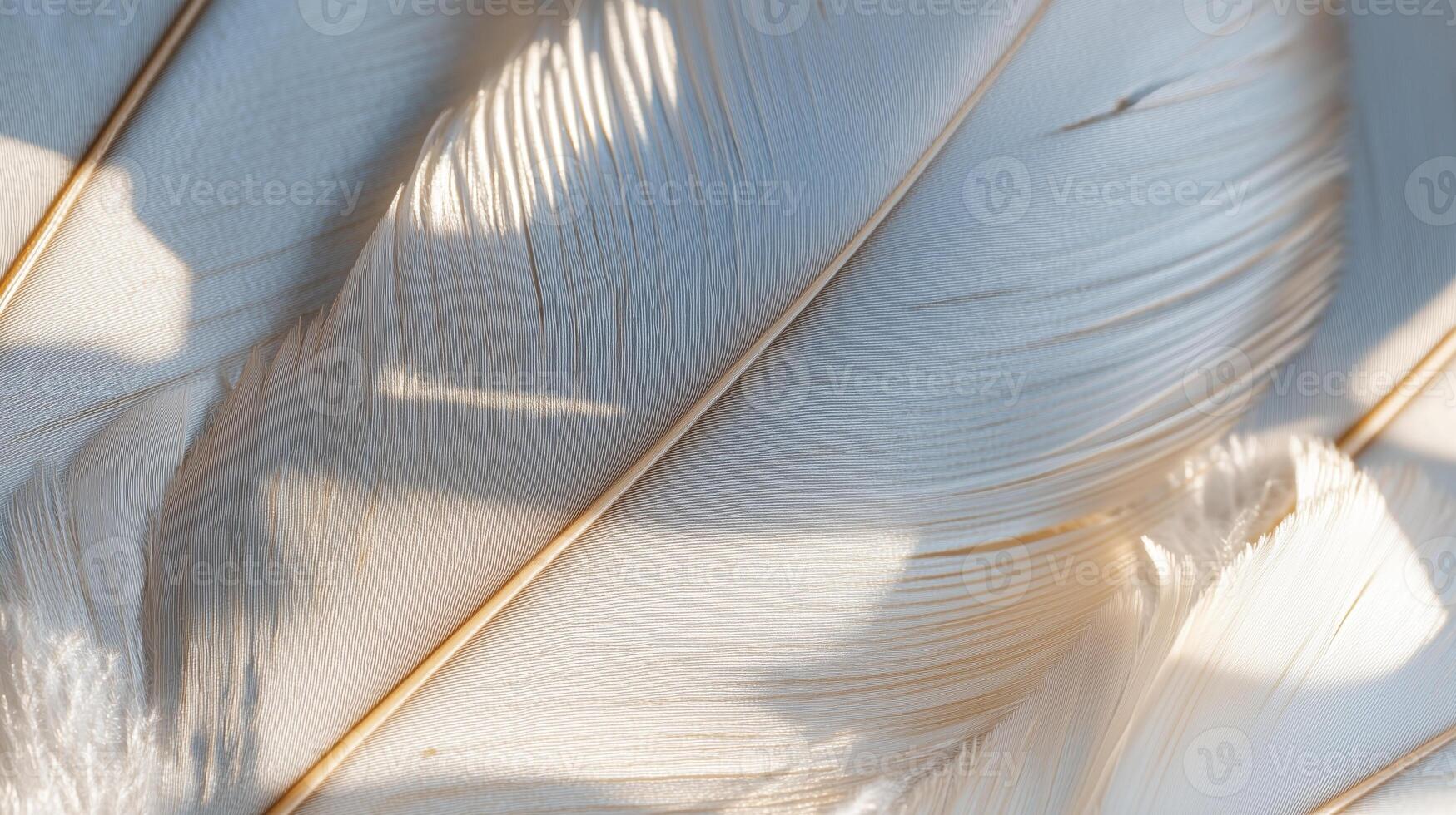 Delicate Feathers Close-Up Abstract Macro Pattern photo